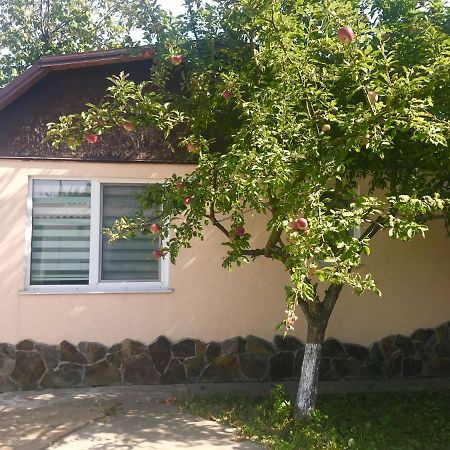 Apartments With Kitchen And Garden Κίεβο Εξωτερικό φωτογραφία